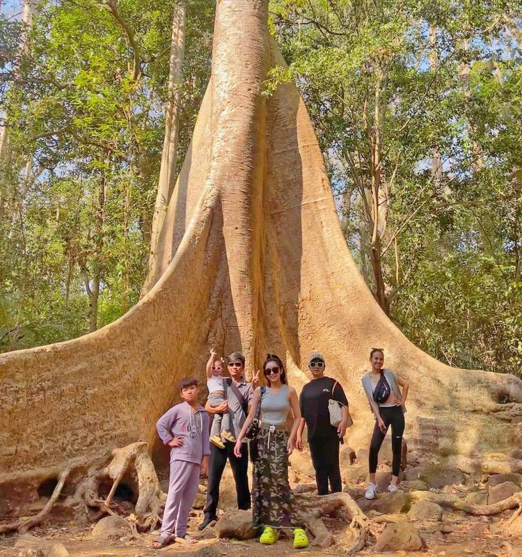 https://files.locallife.asia/images/800/1773717561617-2199574739159146666 (1).jpg